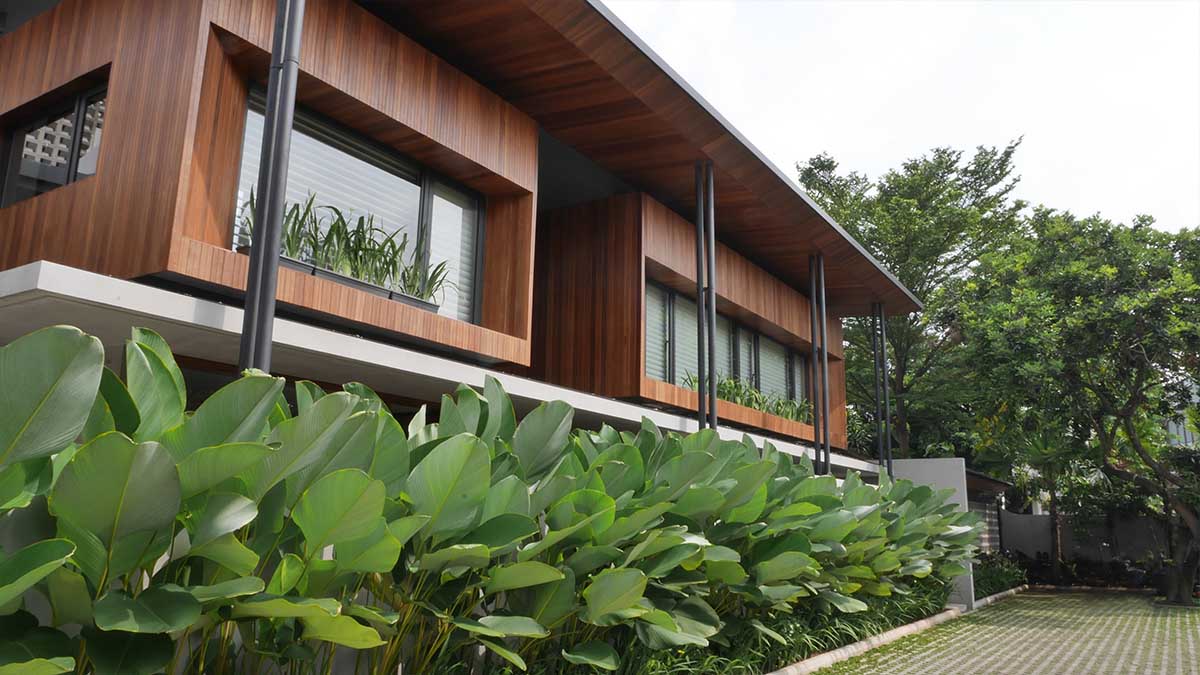 5-manfaat-tanaman-di-rumah